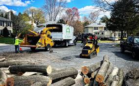 Best Lawn Maintenance Plans  in Cold Spring Harbor, NY